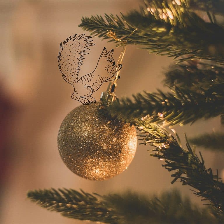 Cover Image for Peroni on Wheels: 12 Pubs of Christmas at The Prince of Wales!